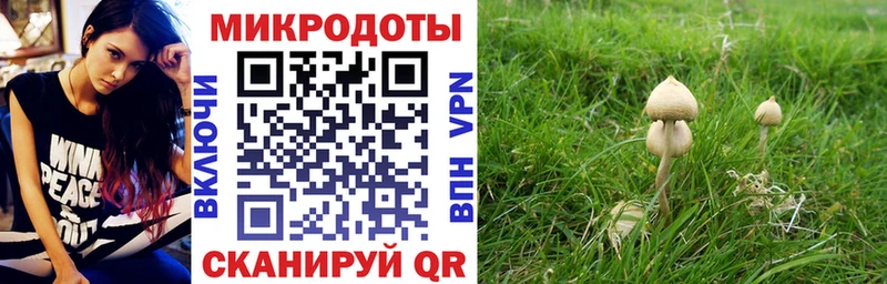 Галлюциногенные грибы Cubensis  Козловка 