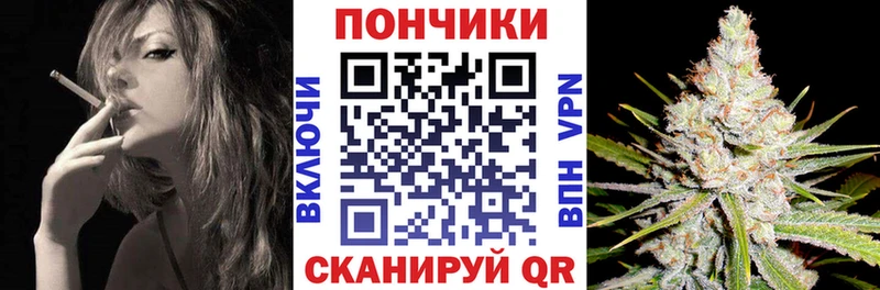 Шишки марихуана Amnesia  Козловка 